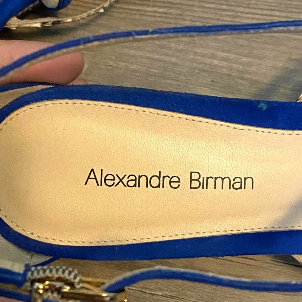 Alexandre Birman Blue Leather Python Snake Textur… - image 7